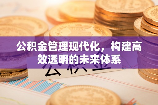 安庆公积金管理现代化，构建高效透明的未来体系