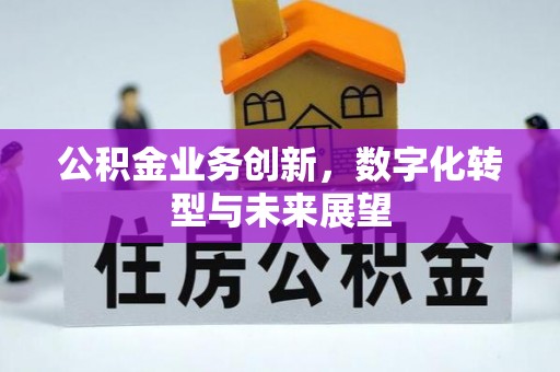 安庆公积金业务创新，数字化转型与未来展望
