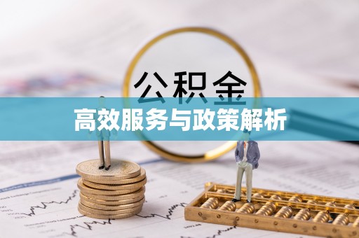 安庆高效服务与政策解析