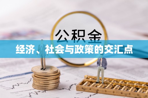 安庆经济、社会与政策的交汇点