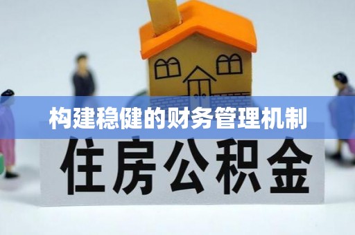 安庆构建稳健的财务管理机制