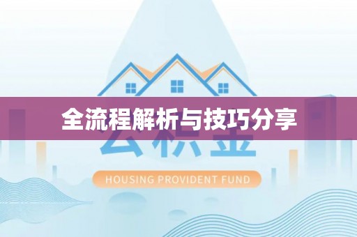 安庆全流程解析与技巧分享